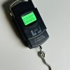 Portable Digital Weight Scale With LED Backlight (Up To 50kg) - Image 2